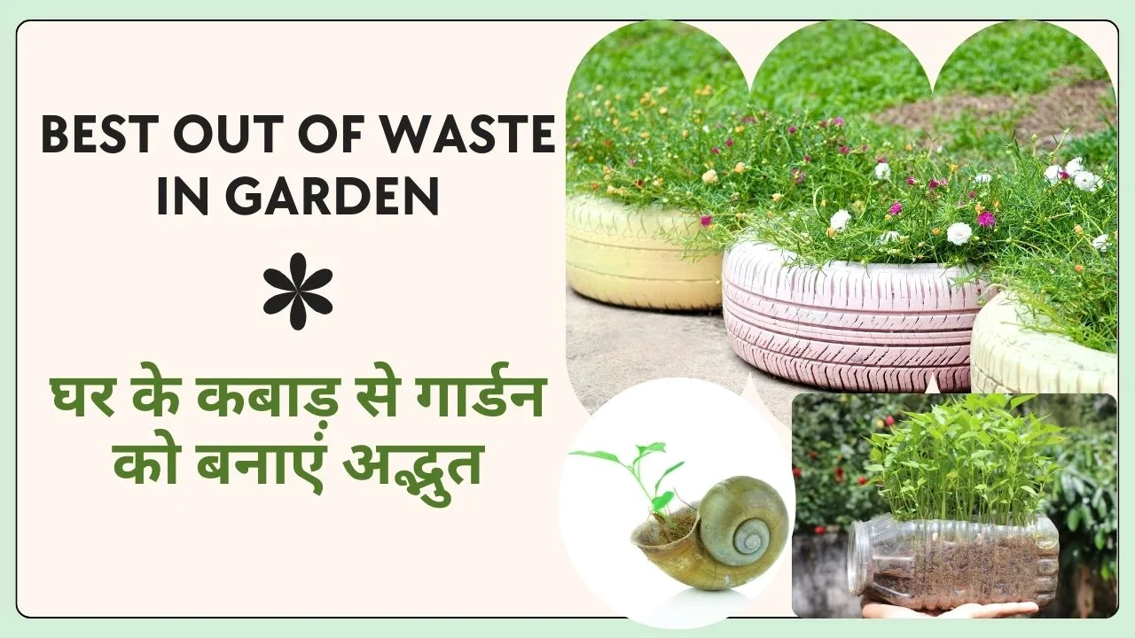 Best out of waste in garden: घर के कबाड़ से गार्डन को बनाएं अद्भुत