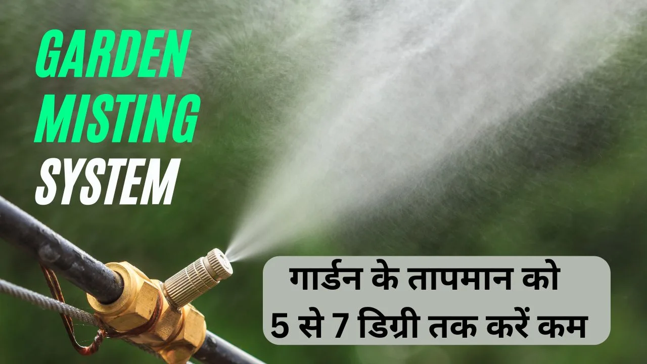 Garden misting: मिस्टिंग से गार्डन के टेम्प्रेचर को 5 से 7 डिग्री तक करें कम