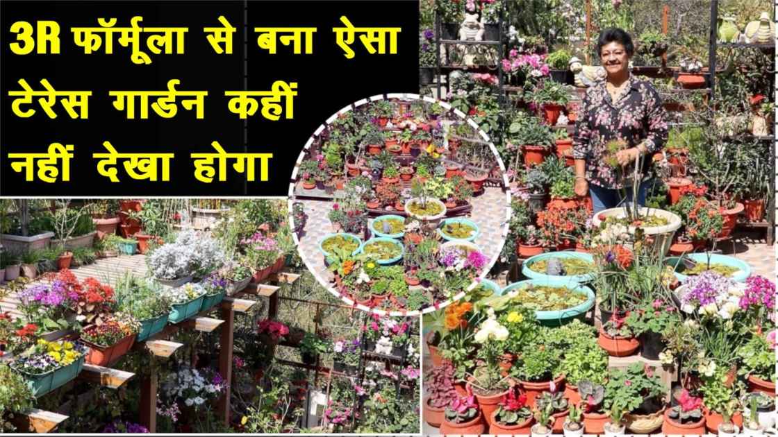 Biodiversity Garden: बागवानी के शौक ने छत को बना दिया बायोडायवर्सिटी पार्क