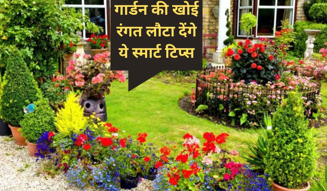 Tips for Garden-गार्डन की खोई रंगत लौटा देंगे ये स्मार्ट टिप्स