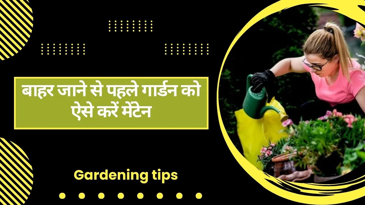 Gardening tips- बाहर जाने से पहले गार्डन को ऐसे करें मेंटेन