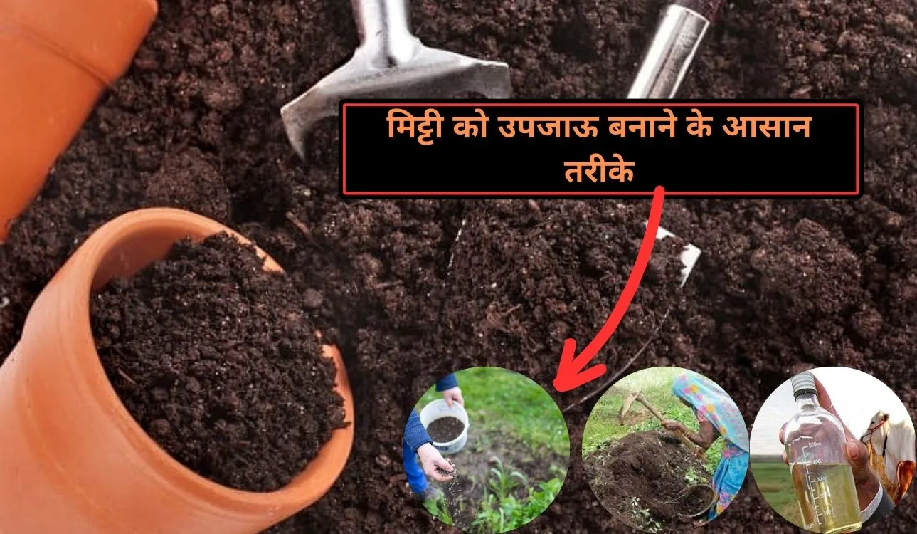 Fertile soil- अच्छी पैदावार के लिए मिट्टी को ऐसे बनाएं उपजाऊ