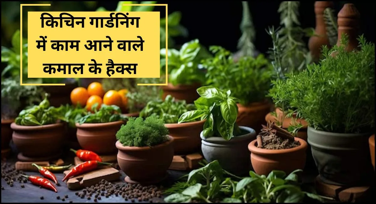 Kitchen garden- किचिन गार्डन के लिए कमाल के हैक्स